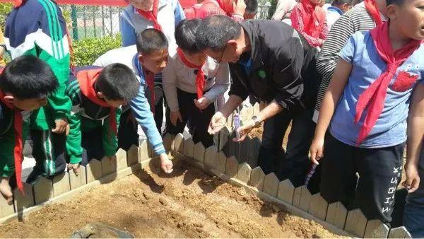 今期牛鸡虎出特，障目聊成矮木天打一准确生肖精选解析、解释与落实、构建解答解释落实